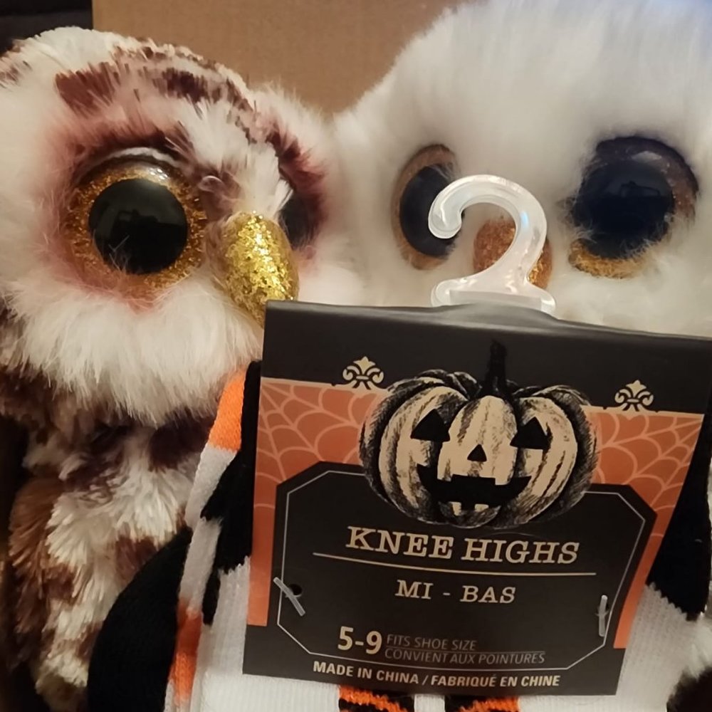 🍍  Cute bundle of 2 Owl Beanie Boos & Pair of Halloween Socks